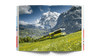 The Best Swiss Train Rides